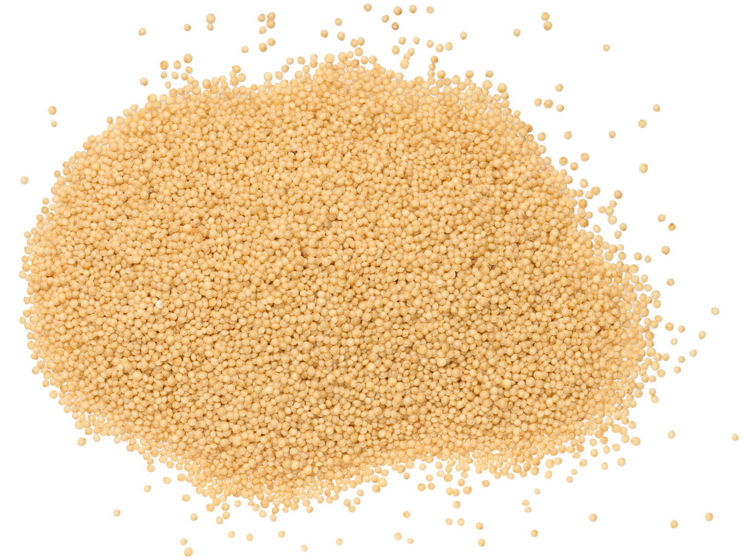 Fresh Organic Amaranth by RawJoy 10 Pounds