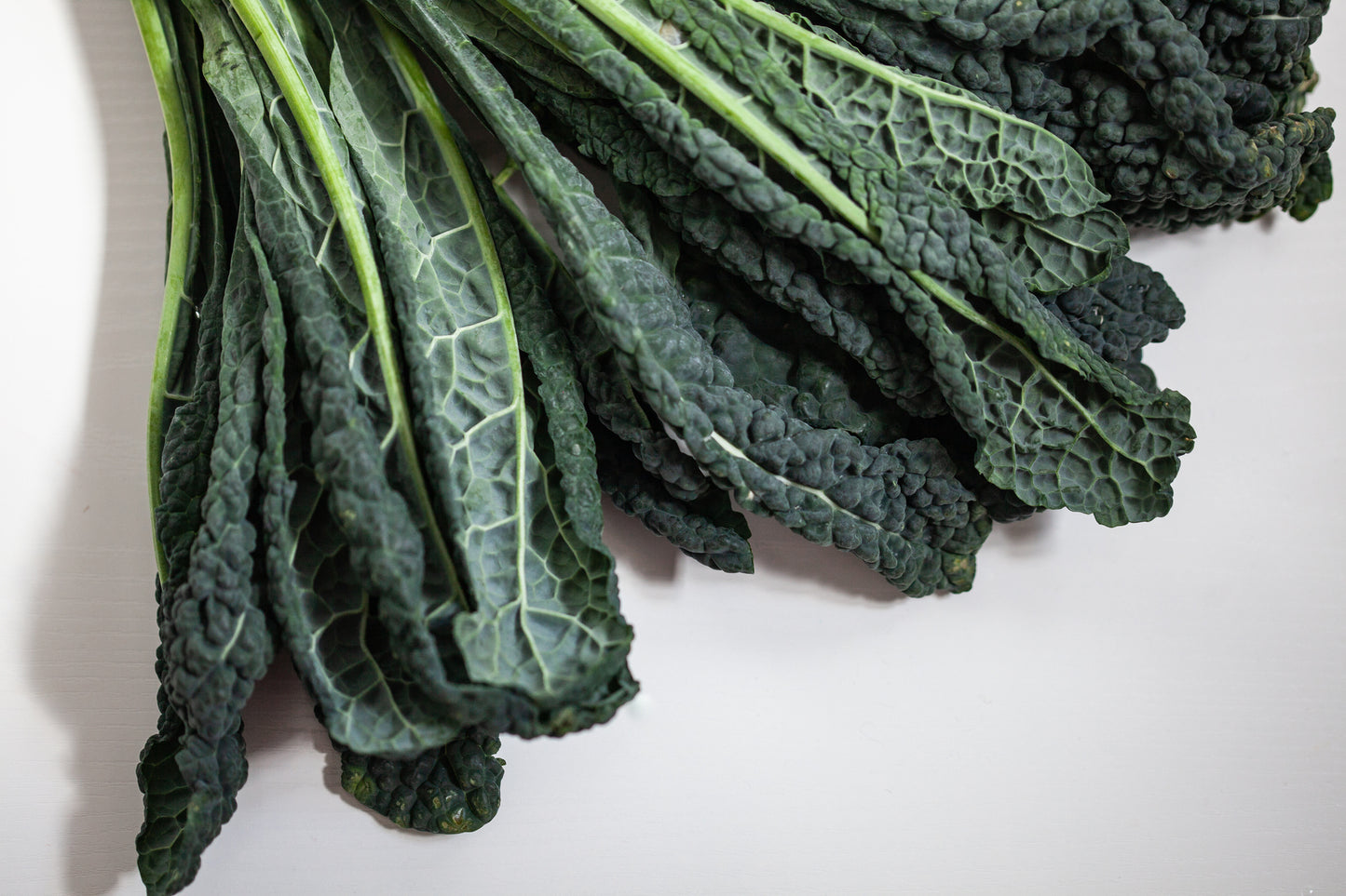Fresh Organic Tuscan Kale by RawJoy 2 lbs