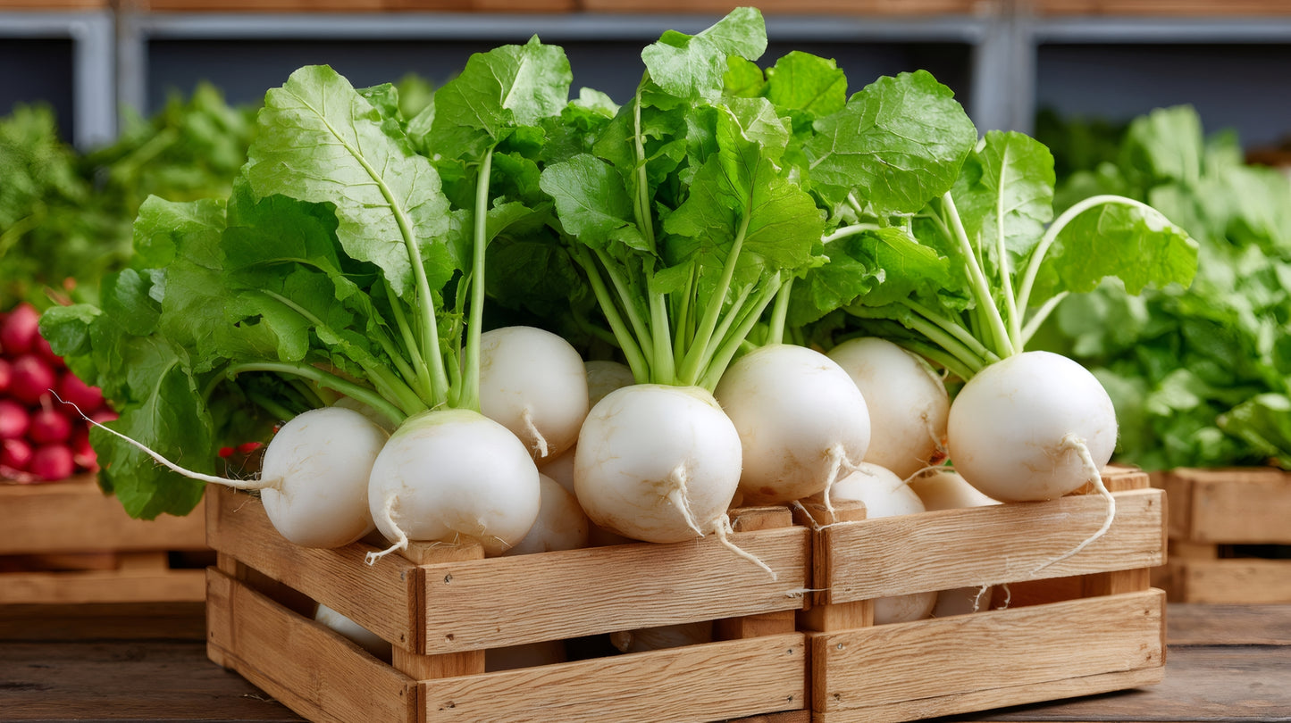 Fresh Organic Baby Turnips by RawJoy 2 Pounds