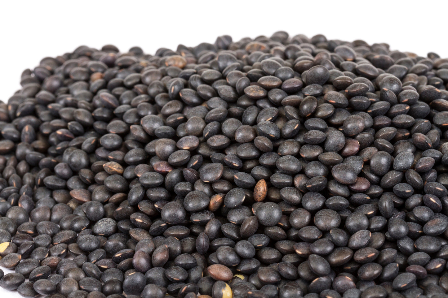 Fresh Organic Black Lentils by RawJoy 20 lbs