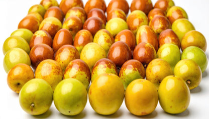 Fresh Organic Jujube Fruit by RawJoy 1 Pound