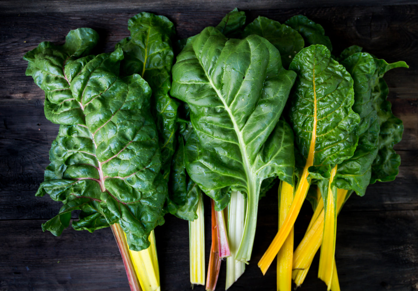 Fresh Organic Swiss Chard by RawJoy 2 lbs