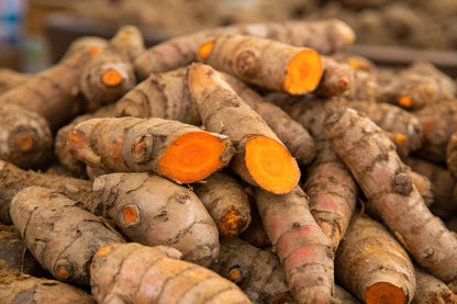 Fresh Organic Turmeric Root by RawJoy