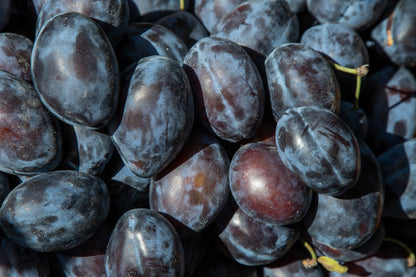 Fresh Organic Sugar Plums by RawJoy