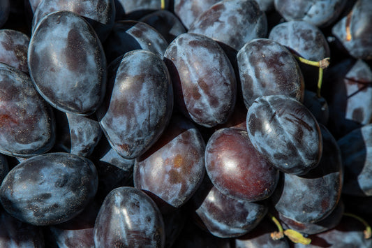Fresh Organic Sugar Plums by RawJoy
