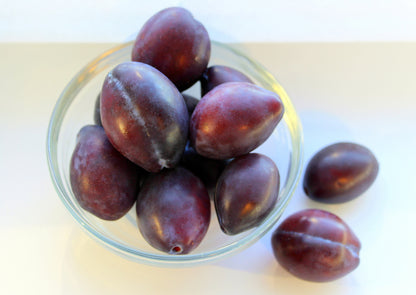 Fresh Organic Sugar Plums by RawJoy