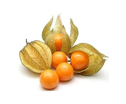 Fresh Golden Berries/ Cape Gooseberries by RawJoy Farms